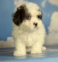 processed/58644bc6-c0eb-4993-9b87-a1bcd2367aad/listing/b49dcfe5-e50d-4f8d-9a30-739a4a1743c4/88763ef3-2f58-445b-9421-e05c4d43e09c