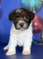 processed/58644bc6-c0eb-4993-9b87-a1bcd2367aad/listing/d1ee2190-1ab3-4436-9b92-94bd002c5f48/0934354f-bbe8-4012-b507-4be52f93e1cf