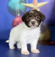 processed/58644bc6-c0eb-4993-9b87-a1bcd2367aad/listing/d1ee2190-1ab3-4436-9b92-94bd002c5f48/1a9669be-41eb-40a3-99dc-f13b70e40d77