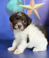 processed/58644bc6-c0eb-4993-9b87-a1bcd2367aad/listing/d1ee2190-1ab3-4436-9b92-94bd002c5f48/c6215a43-68ef-4185-af04-be66065ec012