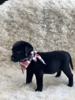 processed/587338b2-8c03-403d-8c38-403adab95b5d/listing/e5c141c3-09b1-4290-9290-3fefaaba7e8b/9c068f8e-ac8b-4d2d-a4e2-44bf855e3655