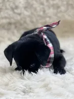 processed/587338b2-8c03-403d-8c38-403adab95b5d/listing/e5c141c3-09b1-4290-9290-3fefaaba7e8b/af3a4922-9535-4bcc-906d-807f0c037854