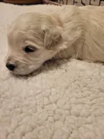 processed/5876469b-9d90-43a3-83e1-c0d4e642cb3c/listing/0db848e6-7b58-4d89-b5fc-db11a38fd857/36ecf336-77b5-449c-bc76-4512fbda7e5b