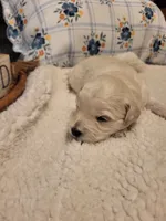 processed/5876469b-9d90-43a3-83e1-c0d4e642cb3c/listing/0db848e6-7b58-4d89-b5fc-db11a38fd857/3b144be5-5fde-40f4-af80-5c71fa38f7d8