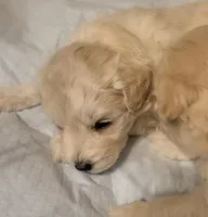 processed/5876469b-9d90-43a3-83e1-c0d4e642cb3c/listing/0db848e6-7b58-4d89-b5fc-db11a38fd857/cabece63-63a7-4a31-ac81-6198149b754d