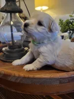 processed/5876469b-9d90-43a3-83e1-c0d4e642cb3c/listing/1b93636d-645d-44af-a7f4-eeb907ab382e/4afff3a5-3576-4982-b335-7c8b35fabcd5