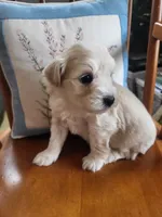 processed/5876469b-9d90-43a3-83e1-c0d4e642cb3c/listing/1b93636d-645d-44af-a7f4-eeb907ab382e/a1cb0be8-59c1-4b8d-89b0-c6ccec444be0