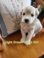 processed/5876469b-9d90-43a3-83e1-c0d4e642cb3c/listing/1b93636d-645d-44af-a7f4-eeb907ab382e/a286a7d6-d1a1-4259-9fe4-b47d62d01d00