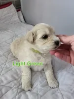 processed/5876469b-9d90-43a3-83e1-c0d4e642cb3c/listing/1b93636d-645d-44af-a7f4-eeb907ab382e/d16a321b-ed98-4151-91dd-58aeaffa746a