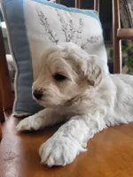 processed/5876469b-9d90-43a3-83e1-c0d4e642cb3c/listing/5aebba1e-805e-4a2f-b2fb-4e7fd091d0fe/0f2090ea-bd45-4496-822b-ca1d46ecceea