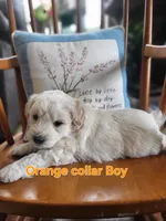 processed/5876469b-9d90-43a3-83e1-c0d4e642cb3c/listing/5aebba1e-805e-4a2f-b2fb-4e7fd091d0fe/2e23432b-32a0-4585-8b0f-9e75c6f54ae0