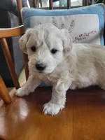 processed/5876469b-9d90-43a3-83e1-c0d4e642cb3c/listing/5aebba1e-805e-4a2f-b2fb-4e7fd091d0fe/50fab84b-06bd-4f6a-a6d9-03dd2c1cc3b5