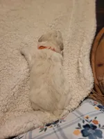 processed/5876469b-9d90-43a3-83e1-c0d4e642cb3c/listing/5aebba1e-805e-4a2f-b2fb-4e7fd091d0fe/acaf9a00-d145-4e2d-97d6-03e27034d446