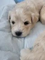 processed/5876469b-9d90-43a3-83e1-c0d4e642cb3c/listing/5aebba1e-805e-4a2f-b2fb-4e7fd091d0fe/fd9584f3-06a9-48f8-aad8-6447e47a38bb