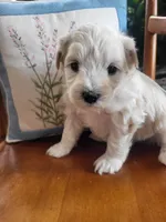 processed/5876469b-9d90-43a3-83e1-c0d4e642cb3c/listing/6523668f-5974-4298-ae55-917a7e073144/0af13a5c-a9f9-4eb9-b59a-70f7811e8fbe