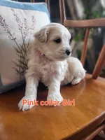 processed/5876469b-9d90-43a3-83e1-c0d4e642cb3c/listing/6523668f-5974-4298-ae55-917a7e073144/245e104a-d322-4e50-91d7-5433628b4b4d