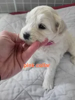 processed/5876469b-9d90-43a3-83e1-c0d4e642cb3c/listing/6523668f-5974-4298-ae55-917a7e073144/51cc2a56-dd44-420c-b4f3-e9807d8777c7