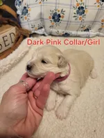 processed/5876469b-9d90-43a3-83e1-c0d4e642cb3c/listing/6523668f-5974-4298-ae55-917a7e073144/b1525be5-d07a-465e-878f-4540b49ee5d7