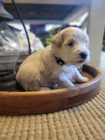 processed/5876469b-9d90-43a3-83e1-c0d4e642cb3c/listing/7ed92e70-ce91-4036-b820-15e89ffc029c/626a6e20-e17a-4bb1-b92f-8ab2451a0243