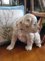 processed/5876469b-9d90-43a3-83e1-c0d4e642cb3c/listing/7ed92e70-ce91-4036-b820-15e89ffc029c/65196195-185c-41fb-b2b9-277a5539debf