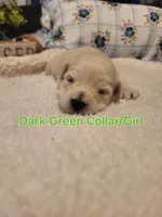 processed/5876469b-9d90-43a3-83e1-c0d4e642cb3c/listing/85f73c2c-708f-475f-a02d-8dc191237a5a/63d26f4f-c5d0-4ece-bf33-46082b4fb1db