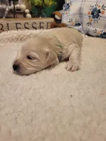 processed/5876469b-9d90-43a3-83e1-c0d4e642cb3c/listing/85f73c2c-708f-475f-a02d-8dc191237a5a/df39bab0-0e6f-40fd-8429-8d01d8f2be31