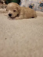 processed/5876469b-9d90-43a3-83e1-c0d4e642cb3c/listing/8a97140b-c9b6-4116-901d-773af3bc6c98/924358ba-acfa-4282-a642-42fd0fb6f777