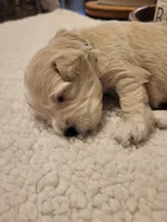 processed/5876469b-9d90-43a3-83e1-c0d4e642cb3c/listing/8a97140b-c9b6-4116-901d-773af3bc6c98/adfe7bcc-559a-40af-8ddd-f9fce7e445ba