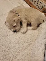 processed/5876469b-9d90-43a3-83e1-c0d4e642cb3c/listing/8a97140b-c9b6-4116-901d-773af3bc6c98/c1fc59da-39cc-479d-9add-b136e09447a0