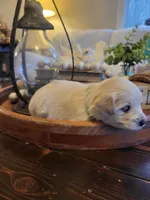 processed/5876469b-9d90-43a3-83e1-c0d4e642cb3c/listing/9661ca67-86ec-42c4-b73a-a670e10c66f3/28469fa1-be45-43a7-b8f4-de48e4a97dda