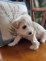 processed/5876469b-9d90-43a3-83e1-c0d4e642cb3c/listing/9661ca67-86ec-42c4-b73a-a670e10c66f3/38d2334a-1df2-483e-917d-1f4ab5296c0b