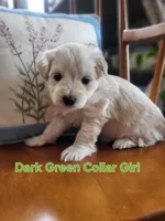 processed/5876469b-9d90-43a3-83e1-c0d4e642cb3c/listing/9661ca67-86ec-42c4-b73a-a670e10c66f3/862c43e3-899f-44c9-8a66-06080ee262b9