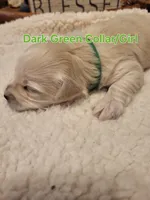 processed/5876469b-9d90-43a3-83e1-c0d4e642cb3c/listing/9661ca67-86ec-42c4-b73a-a670e10c66f3/b64d07df-9e56-4c33-86ae-9034064e50e3