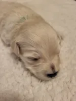 processed/5876469b-9d90-43a3-83e1-c0d4e642cb3c/listing/9661ca67-86ec-42c4-b73a-a670e10c66f3/e396d0db-5af6-4356-a56f-5851a015c0d2