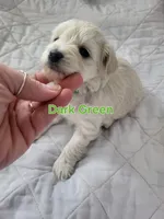 processed/5876469b-9d90-43a3-83e1-c0d4e642cb3c/listing/9661ca67-86ec-42c4-b73a-a670e10c66f3/f64e8290-a115-4a56-8c30-411233e89cdc