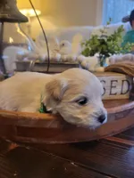 processed/5876469b-9d90-43a3-83e1-c0d4e642cb3c/listing/a367f766-dd29-484f-8b95-95c759e92245/39868757-2193-4dea-b4c7-e5c123cd99aa