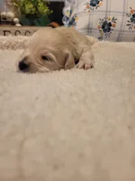 processed/5876469b-9d90-43a3-83e1-c0d4e642cb3c/listing/a367f766-dd29-484f-8b95-95c759e92245/a998af0d-e717-4d59-84d6-0ea881dfad3f