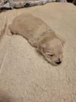 processed/5876469b-9d90-43a3-83e1-c0d4e642cb3c/listing/a367f766-dd29-484f-8b95-95c759e92245/f2bce434-ea4f-4b4c-b1a8-8b9b4b38c6ed