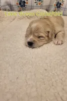 processed/5876469b-9d90-43a3-83e1-c0d4e642cb3c/listing/b5fd5c87-86b1-4157-ae39-acbeee13c534/5f0c9f9e-5278-45ac-adf2-4b8721408eea