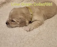 processed/5876469b-9d90-43a3-83e1-c0d4e642cb3c/listing/b5fd5c87-86b1-4157-ae39-acbeee13c534/687ad3c2-ae2e-401f-aecd-8c5d39fd0ec0