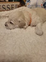 processed/5876469b-9d90-43a3-83e1-c0d4e642cb3c/listing/b6f1c213-b381-4ceb-9f5e-8c88de2a4def/0945b32f-b835-401c-8c6d-e4a9352de327