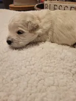 processed/5876469b-9d90-43a3-83e1-c0d4e642cb3c/listing/b6f1c213-b381-4ceb-9f5e-8c88de2a4def/8f111dfc-00de-4b1c-b8bb-42ab7eaadb3b