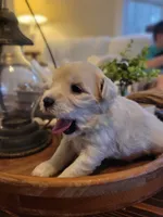 processed/5876469b-9d90-43a3-83e1-c0d4e642cb3c/listing/b6f1c213-b381-4ceb-9f5e-8c88de2a4def/b5ecd098-9e92-4a0a-b697-7cb3999fc771