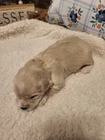 processed/5876469b-9d90-43a3-83e1-c0d4e642cb3c/listing/caad3d87-2d97-40af-9cac-d6f1ac741a92/5812ecb0-9805-4d75-a6ee-8b088b1b00ec