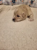 processed/5876469b-9d90-43a3-83e1-c0d4e642cb3c/listing/caad3d87-2d97-40af-9cac-d6f1ac741a92/61fe6987-9699-450f-97bc-4255747a41fa