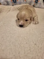 processed/5876469b-9d90-43a3-83e1-c0d4e642cb3c/listing/caad3d87-2d97-40af-9cac-d6f1ac741a92/da62e7e4-dd31-43d2-91f6-8045fcb5a56f