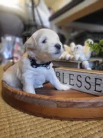 processed/5876469b-9d90-43a3-83e1-c0d4e642cb3c/listing/cafb732c-46c1-46bc-984c-dd9d5034396c/33dd39c1-51ff-4cfb-8f55-4c07f5a560aa