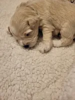 processed/5876469b-9d90-43a3-83e1-c0d4e642cb3c/listing/cafb732c-46c1-46bc-984c-dd9d5034396c/8fa191b0-e55c-4817-a92c-8f26c1a9667d