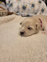 processed/5876469b-9d90-43a3-83e1-c0d4e642cb3c/listing/e51d5588-29e4-4448-a30d-2398bb6d66e0/84e06e63-9cb7-48c9-8173-038d83e2a822