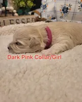 processed/5876469b-9d90-43a3-83e1-c0d4e642cb3c/listing/e51d5588-29e4-4448-a30d-2398bb6d66e0/ad39d65f-8d8c-4071-b58f-5044cc8aae36